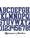 3D College Puff Native BX Font Digital Embroidery Design