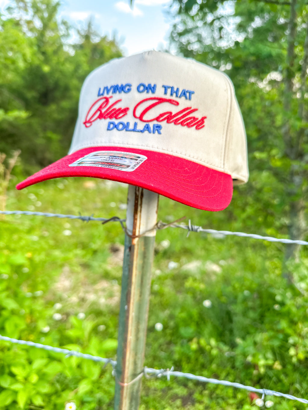 Blue Collar Dollar 3D Puff Embroidered Hat