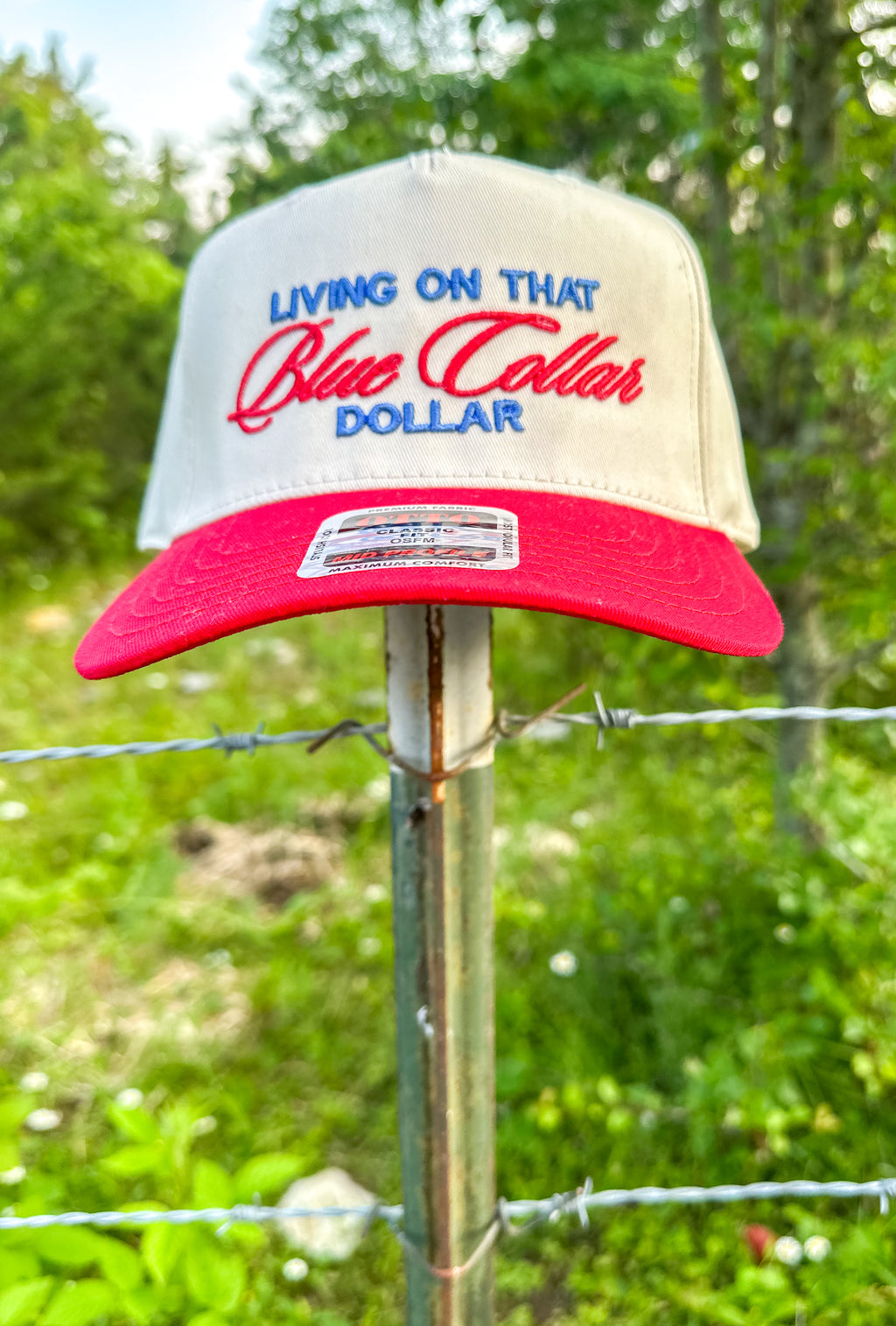 Blue Collar Dollar 3D Puff Embroidered Hat