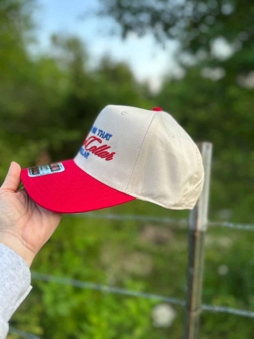 Blue Collar Dollar 3D Puff Embroidered Hat