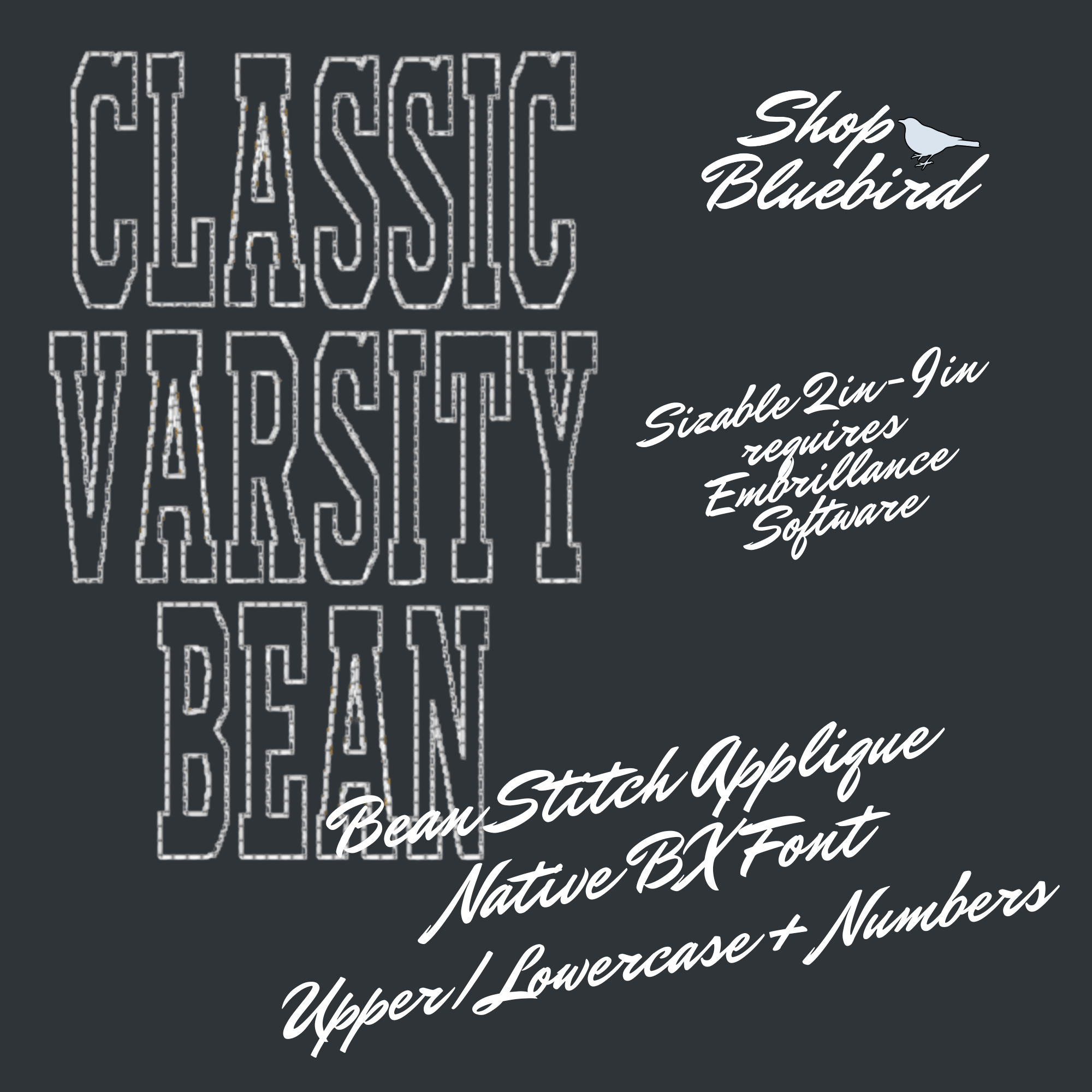 Classic Varsity Applique Bean Native BX Font Digital Embroidery Design