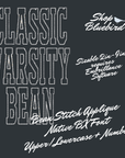 Classic Varsity Applique Bean Native BX Font Digital Embroidery Design