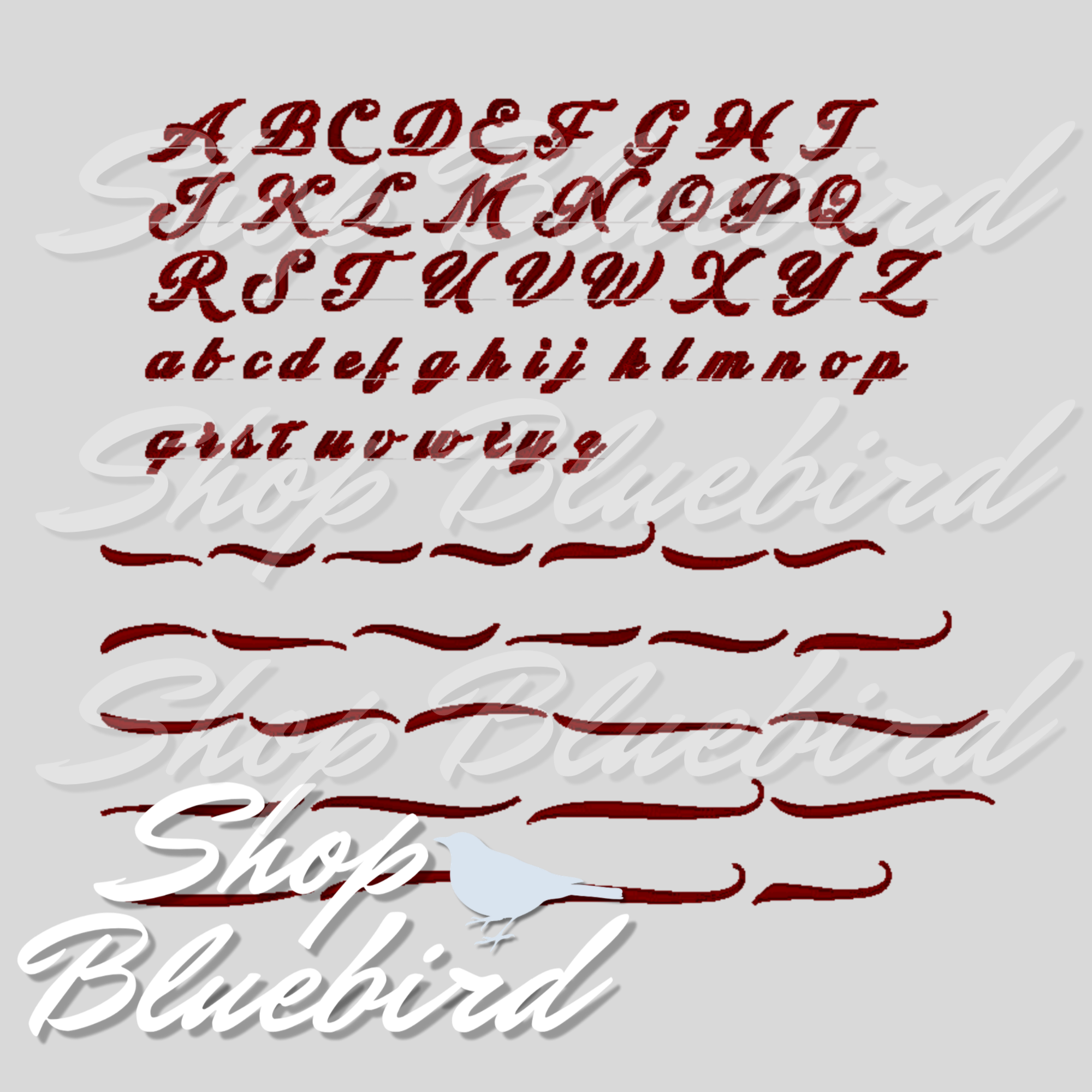 Custom Request for Digital Design-Varsity Swash HAT